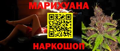гашик Будённовск