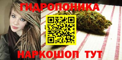 гашик Будённовск