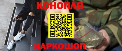 гашик Будённовск
