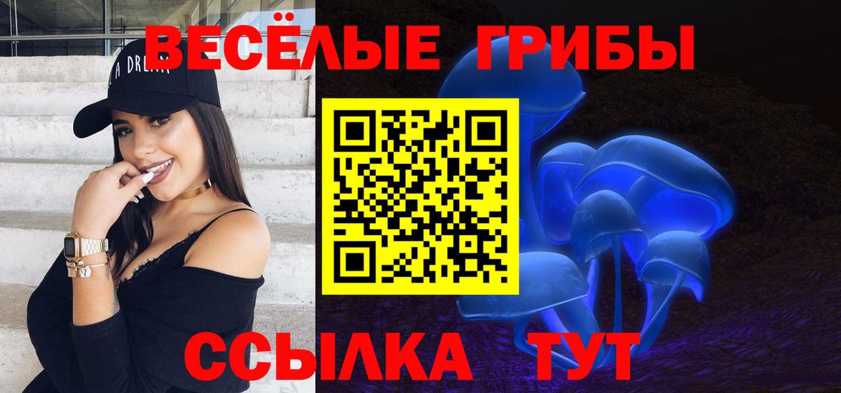 Галлюциногенные грибы мицелий  Вход с VPN  Ростов-на-Дону 